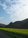 IMG_2124